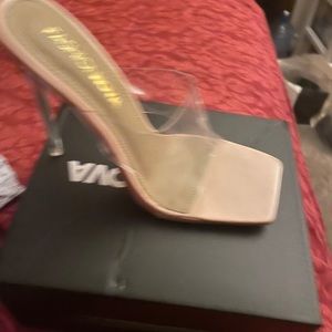 Nude and clear heel